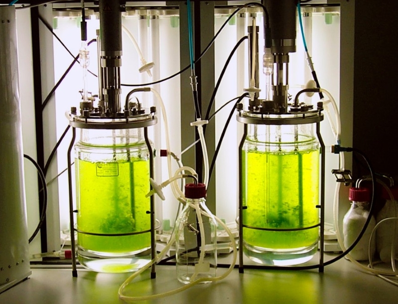 Bioreaktor quer2