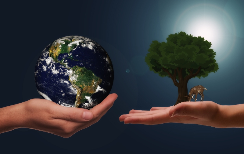 Save the planet