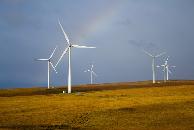 Windmill Farm
